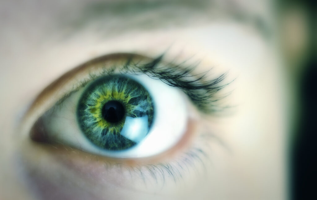 Iridology North London Naturopathy Iridology near me Iridology